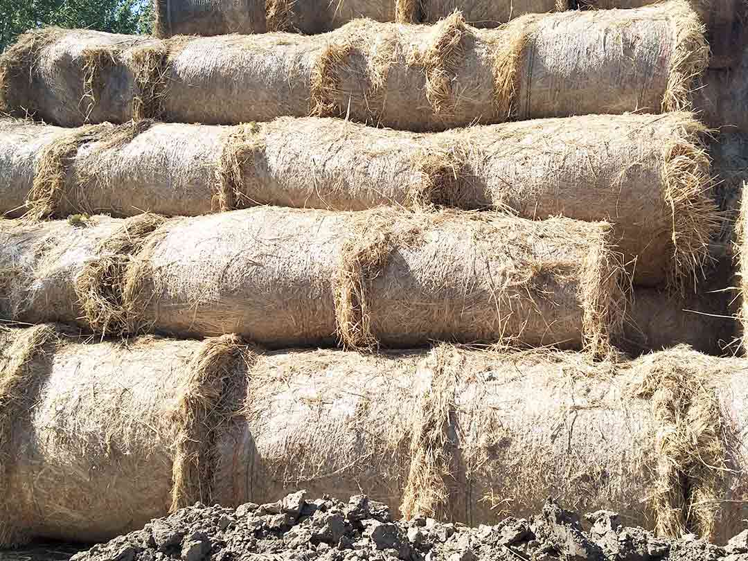 生物質（zhì）撕碎機